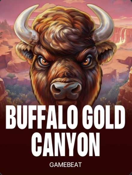 buffalo gold